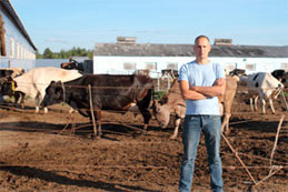 Comment les éleveurs engraissent-ils les bœufs aujourd’hui ?